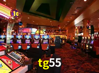 Descubra o Mundo do Cassino Online com tg55