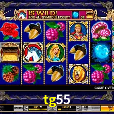 Descubra a Magia dos Jogos de Arcade no tg55